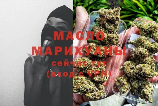 дмт Надым