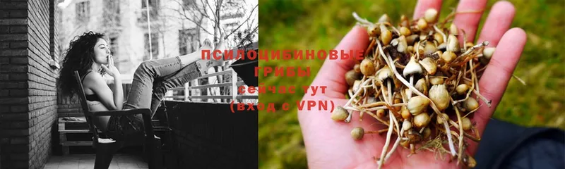 Галлюциногенные грибы MAGIC MUSHROOMS  блэк спрут ONION  Орлов 